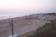 El Palmar